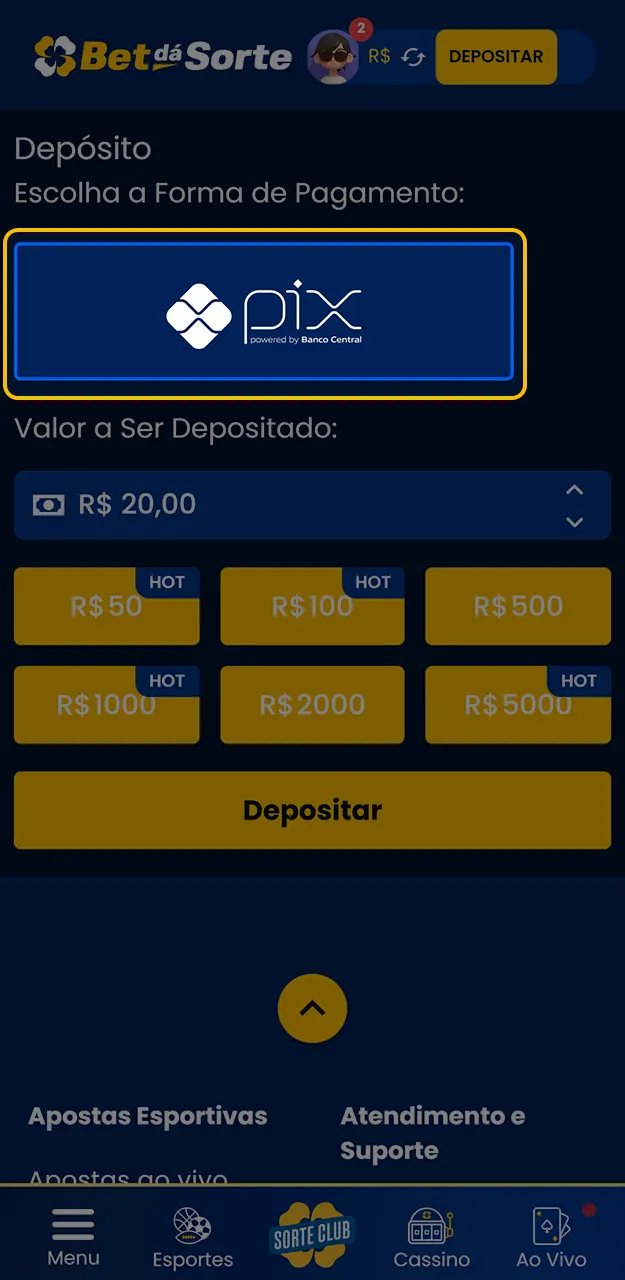 Selecione a melhor forma de depósito disponível na Bet da Sorte Brasil.